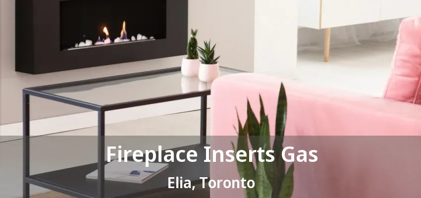 Fireplace Inserts Gas Elia, Toronto - ON Fireplace Inserts Gas Elia, Toronto - ON