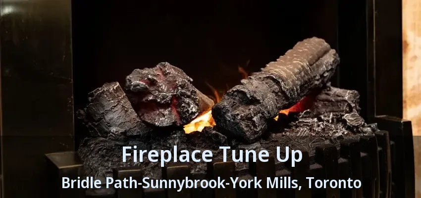 Fireplace Tune Up Bridle Path-Sunnybrook-York Mills, Toronto - ON Fireplace Tune Up Bridle Path-Sunnybrook-York Mills, Toronto - ON
