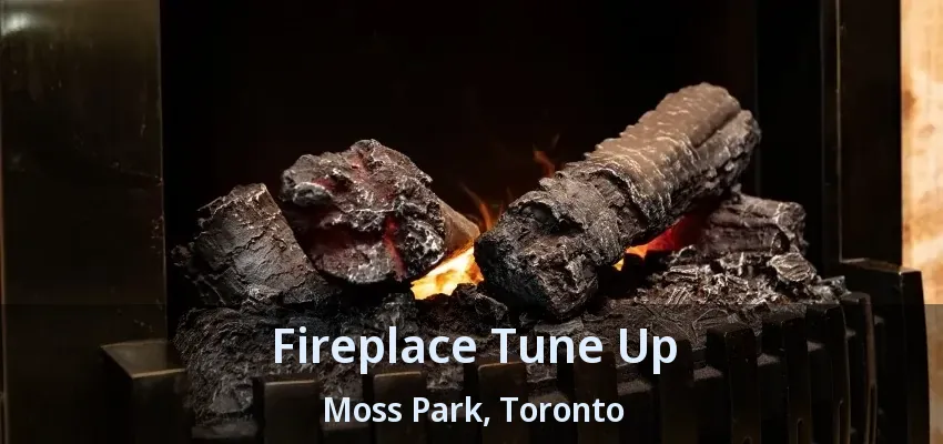 Fireplace Tune Up Moss Park, Toronto - ON Fireplace Tune Up Moss Park, Toronto - ON