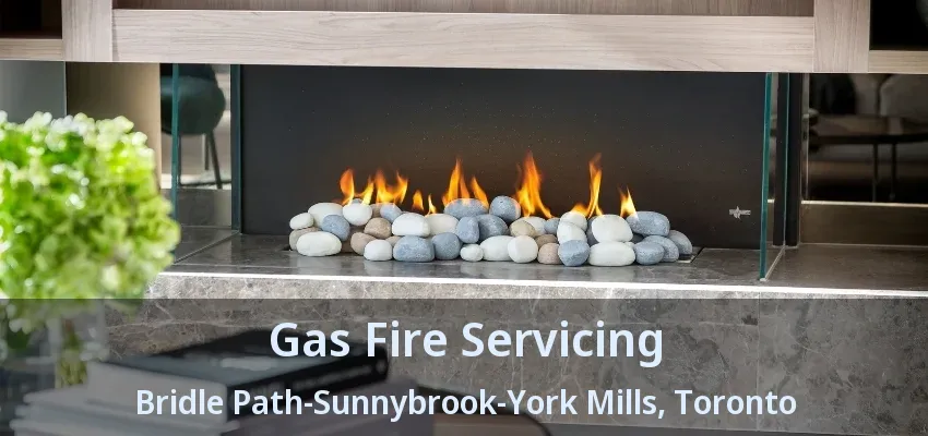 Gas Fire Servicing Bridle Path-Sunnybrook-York Mills, Toronto - ON Gas Fire Servicing Bridle Path-Sunnybrook-York Mills, Toronto - ON