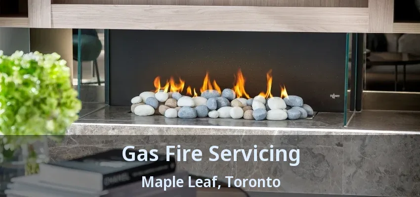 Gas Fire Servicing Maple Leaf, Toronto - ON