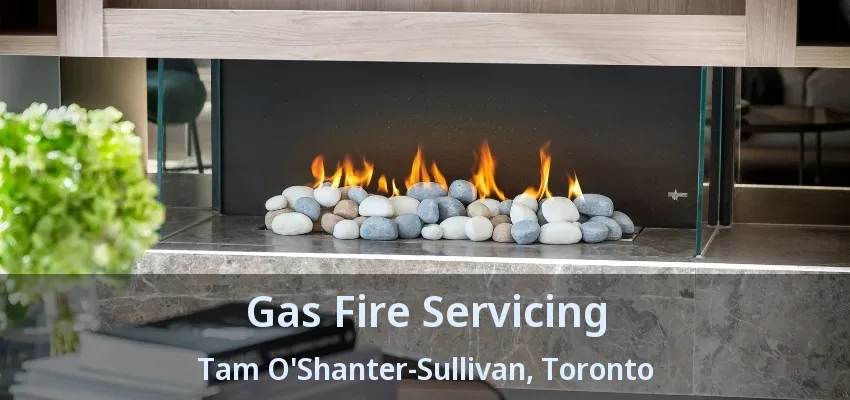 Gas Fire Servicing Tam O'Shanter-Sullivan, Toronto - ON Gas Fire Servicing Tam O'Shanter-Sullivan, Toronto - ON