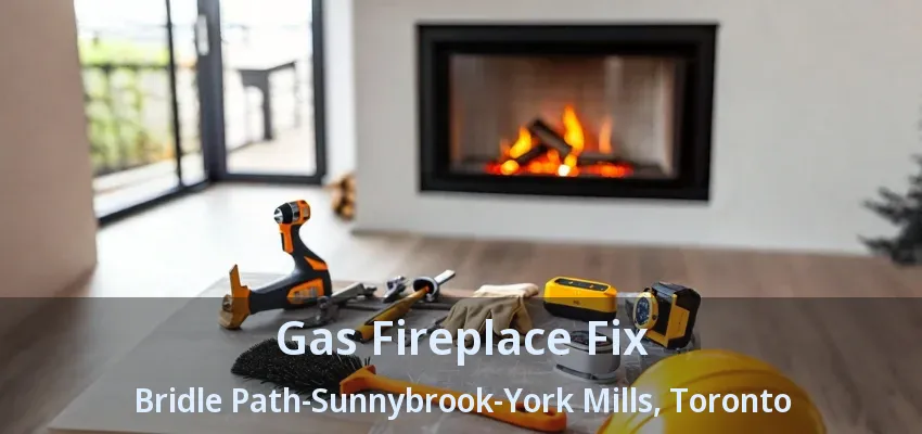 Gas Fireplace Fix Bridle Path-Sunnybrook-York Mills, Toronto - ON Gas Fireplace Fix Bridle Path-Sunnybrook-York Mills, Toronto - ON