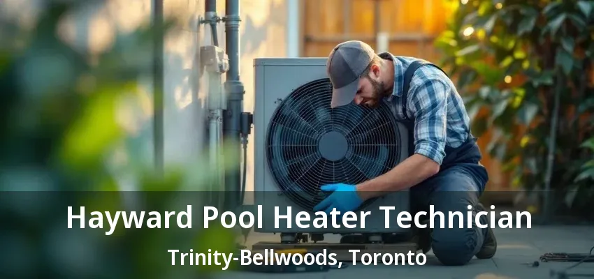 Hayward Pool Heater Technician Trinity-Bellwoods, Toronto - ON Hayward Pool Heater Technician Trinity-Bellwoods, Toronto - ON