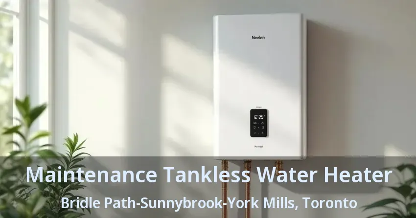 Maintenance Tankless Water Heater Bridle Path-Sunnybrook-York Mills, Toronto - ON Maintenance Tankless Water Heater Bridle Path-Sunnybrook-York Mills, Toronto - ON
