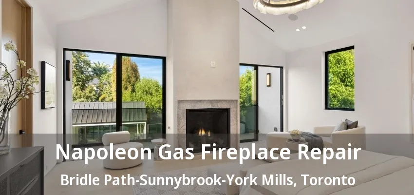 Napoleon Gas Fireplace Repair Bridle Path-Sunnybrook-York Mills, Toronto - ON Napoleon Gas Fireplace Repair Bridle Path-Sunnybrook-York Mills, Toronto - ON