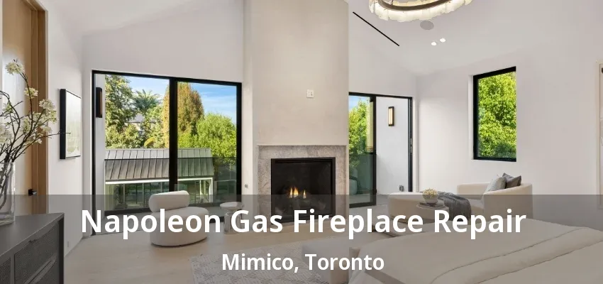 Napoleon Gas Fireplace Repair Mimico, Toronto - ON Napoleon Gas Fireplace Repair Mimico, Toronto - ON