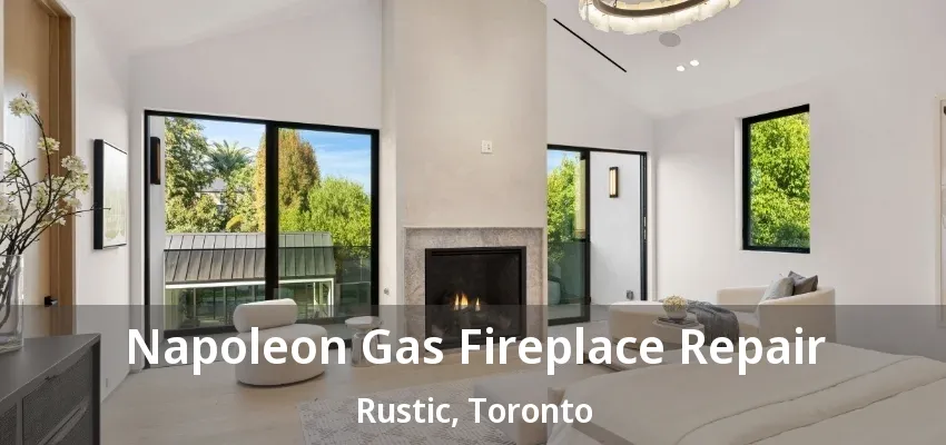 Napoleon Gas Fireplace Repair Rustic, Toronto - ON Napoleon Gas Fireplace Repair Rustic, Toronto - ON