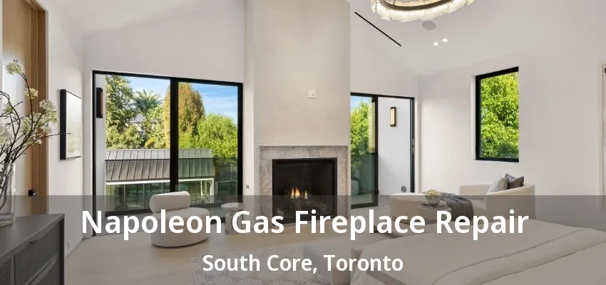 Napoleon Gas Fireplace Repair South Core, Toronto - ON Napoleon Gas Fireplace Repair South Core, Toronto - ON
