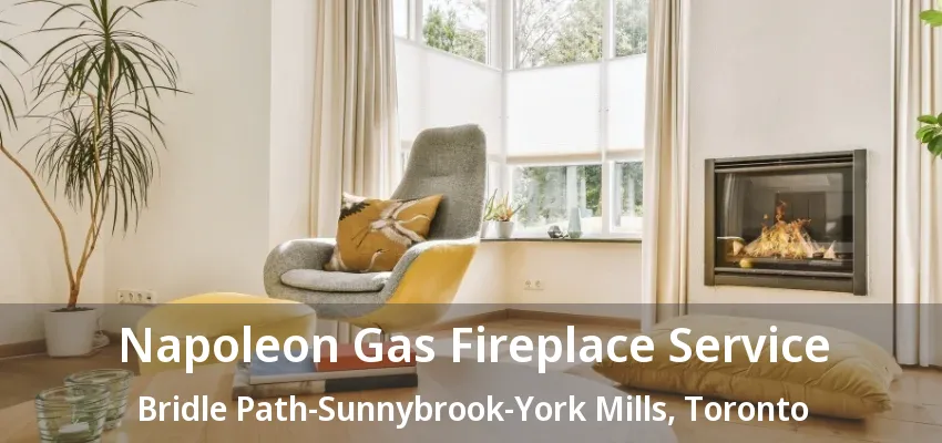 Napoleon Gas Fireplace Service Bridle Path-Sunnybrook-York Mills, Toronto - ON Napoleon Gas Fireplace Service Bridle Path-Sunnybrook-York Mills, Toronto - ON