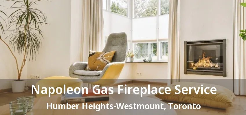 Napoleon Gas Fireplace Service Humber Heights-Westmount, Toronto - ON Napoleon Gas Fireplace Service Humber Heights-Westmount, Toronto - ON