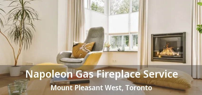 Napoleon Gas Fireplace Service Mount Pleasant West, Toronto - ON Napoleon Gas Fireplace Service Mount Pleasant West, Toronto - ON