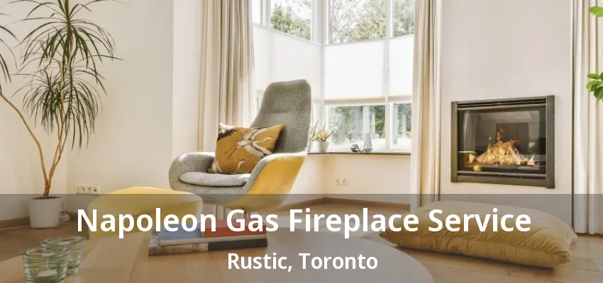 Napoleon Gas Fireplace Service Rustic, Toronto - ON Napoleon Gas Fireplace Service Rustic, Toronto - ON