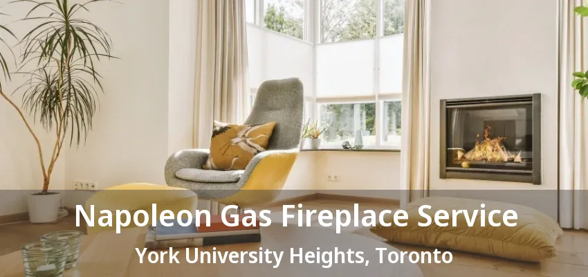 Napoleon Gas Fireplace Service York University Heights, Toronto - ON Napoleon Gas Fireplace Service York University Heights, Toronto - ON