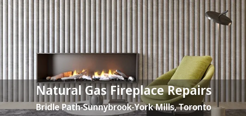 Natural Gas Fireplace Repairs Bridle Path-Sunnybrook-York Mills, Toronto - ON Natural Gas Fireplace Repairs Bridle Path-Sunnybrook-York Mills, Toronto - ON