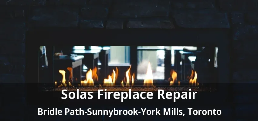Solas Fireplace Repair Bridle Path-Sunnybrook-York Mills, Toronto - ON Solas Fireplace Repair Bridle Path-Sunnybrook-York Mills, Toronto - ON