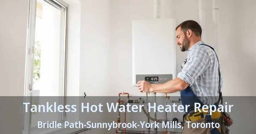 Tankless Hot Water Heater Repair Bridle Path-Sunnybrook-York Mills, Toronto - ON Tankless Hot Water Heater Repair Bridle Path-Sunnybrook-York Mills, Toronto - ON