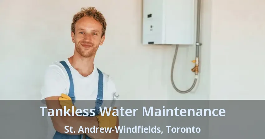 Tankless Water Maintenance St. Andrew-Windfields, Toronto - ON