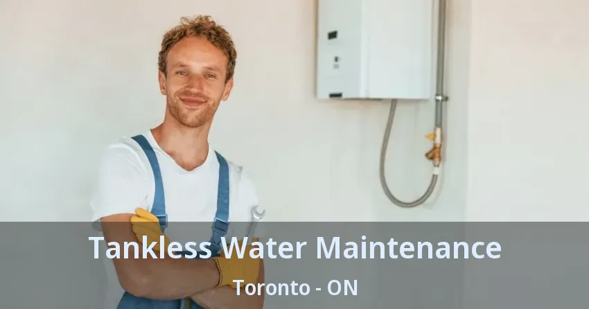 Tankless Water Maintenance Toronto - ON Tankless Water Maintenance Toronto - ON
