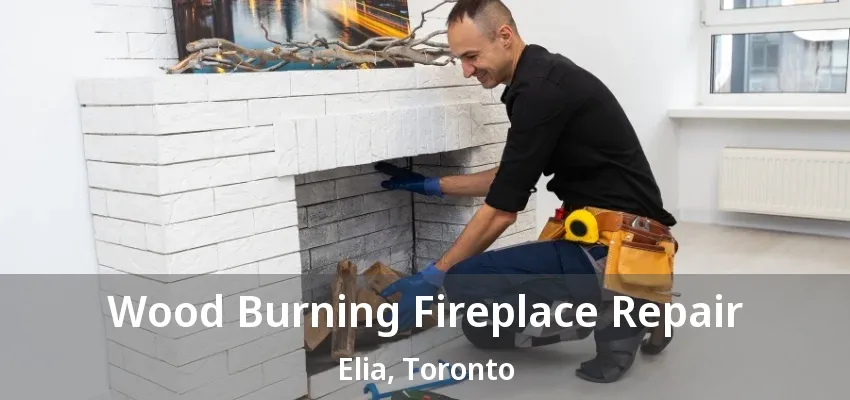 Wood Burning Fireplace Repair Elia, Toronto - ON Wood Burning Fireplace Repair Elia, Toronto - ON